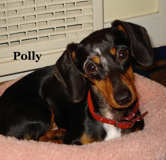 View Polly by cynch