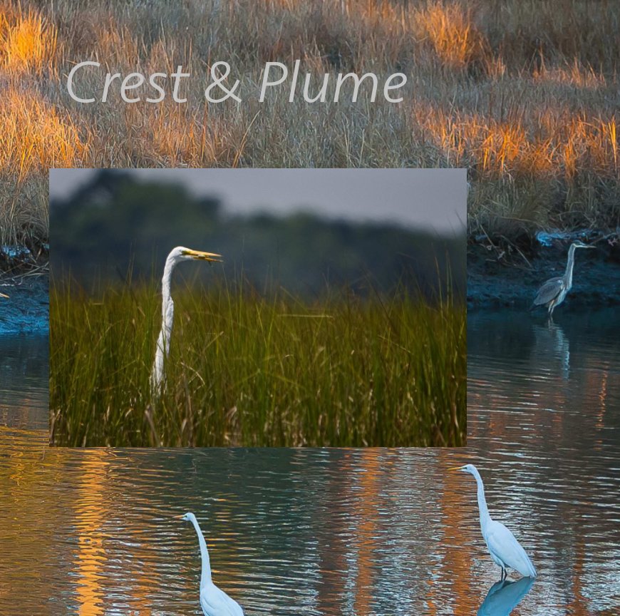 View Crest and  Plume by Charles W Guthrie
