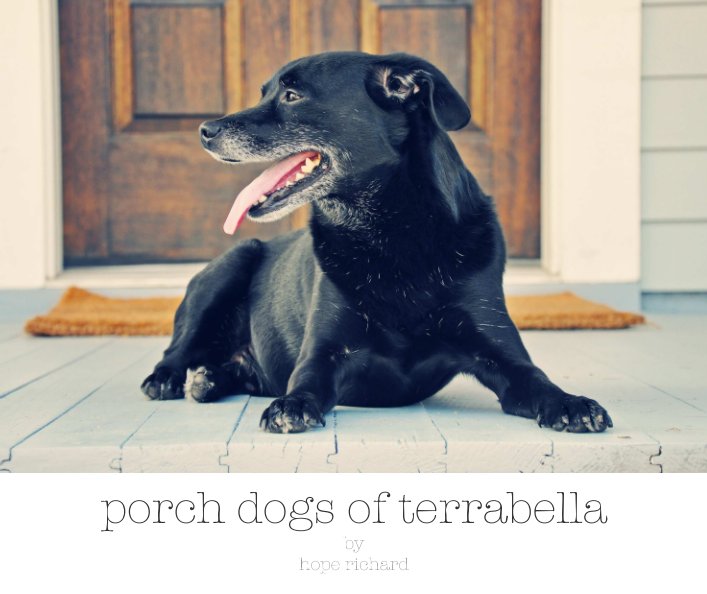 View porch dogs of terrabella by hope richard