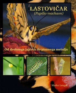 LASTOVIČAR (Papilio machaon) book cover