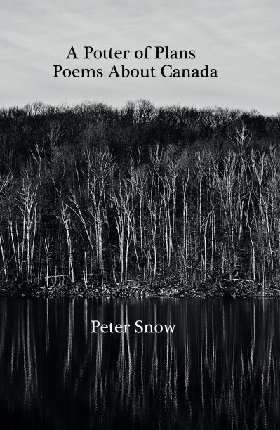 View A Potter of Plans by Peter Snow