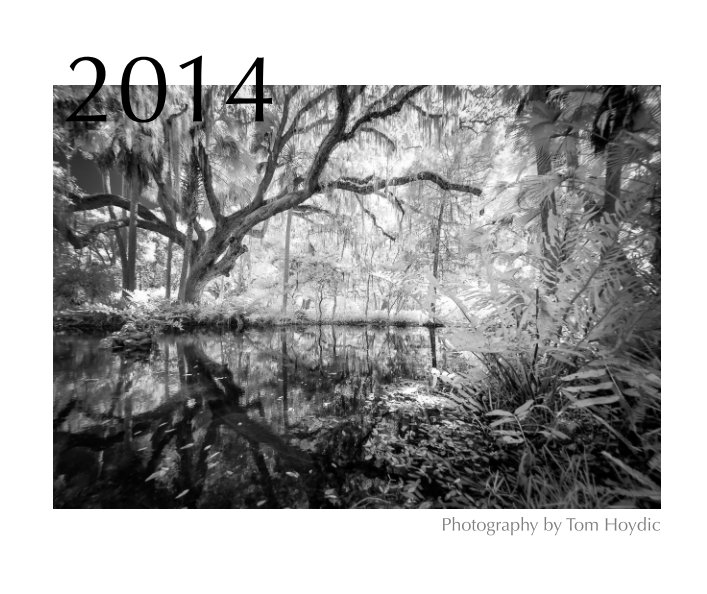View 2014 by Tom Hoydic