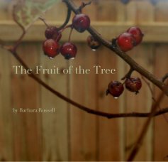 The Fruit of the Tree book cover