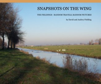 SNAPSHOTS ON THE WING book cover