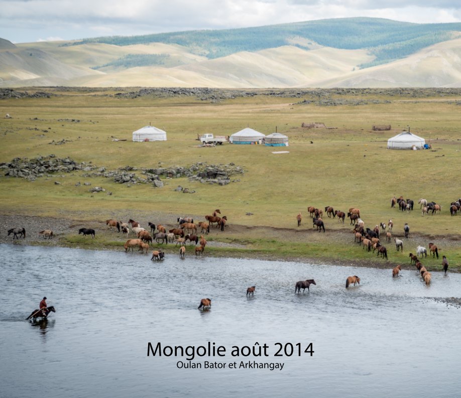 View Mongolie 2014 by Didier Contant