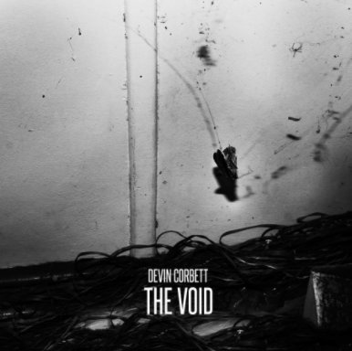 The Void book cover