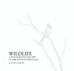 Wildlife – Shenandoah Valley book cover