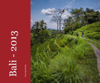 Bali - 2013 book cover