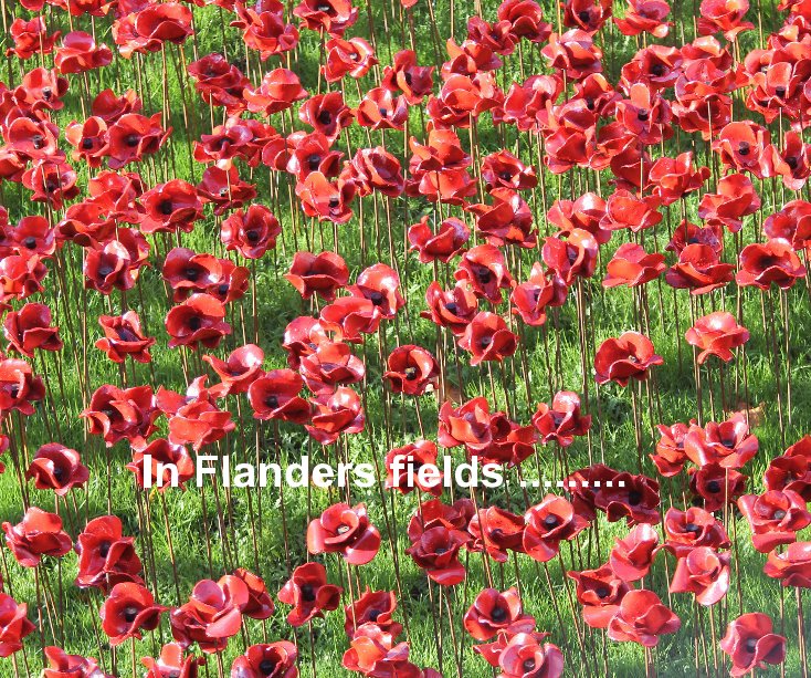 View Flanders by R A GOBLE