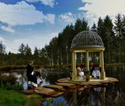 The Wedding of Rosie and David book cover