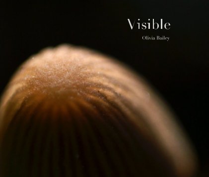 Visible book cover