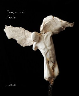 Fragmented Souls book cover