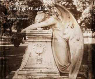 The Night Guardians... book cover