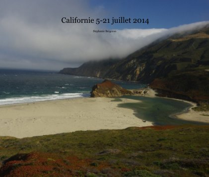 Californie 5-21 juillet 2014 book cover