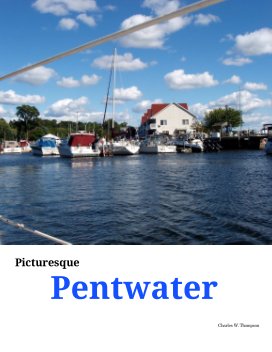 Picturesque Pentwater book cover
