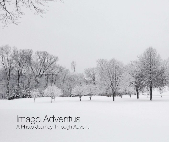 View Imago Adventus - Hardcover by Cathy Newcomb and Edward Goode