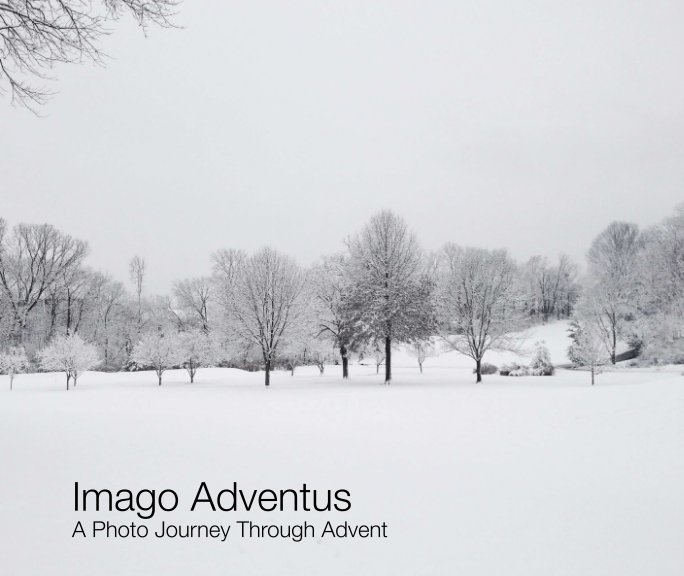 Ver Imago Adventus - Softcover por Cathy Newcomb and Edward Goode