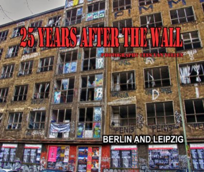 25 years after the wall book cover