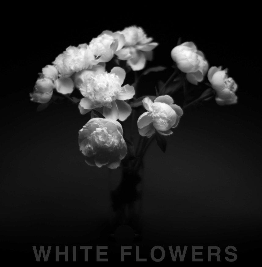View White Flowers by Trevor Smeaton