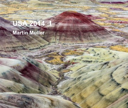 USA 2014 I book cover