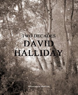 TWO DECADES DAVID HALLIDAY With an essay by Alfred Corn book cover