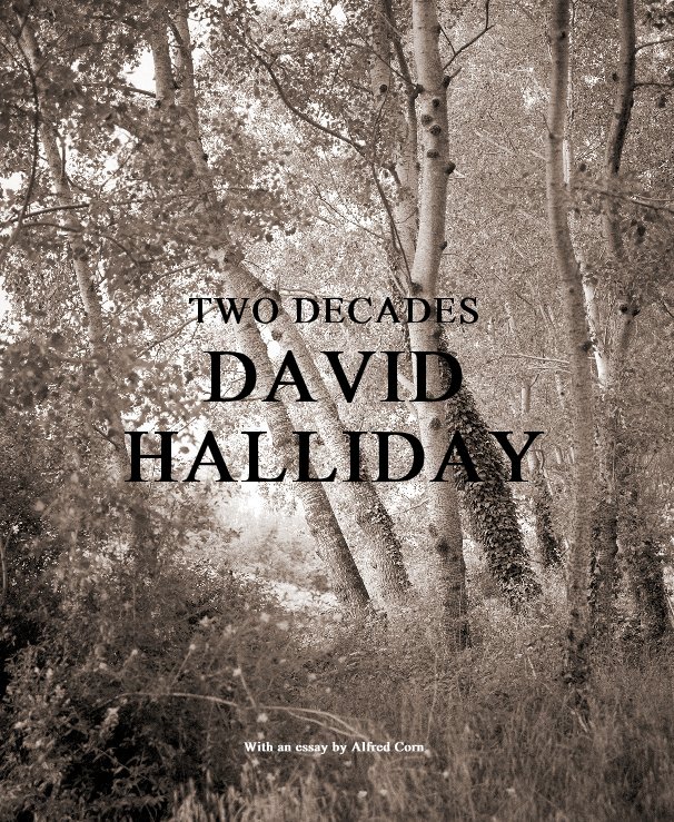 View TWO DECADES DAVID HALLIDAY With an essay by Alfred Corn by Carrie Haddad Photographs