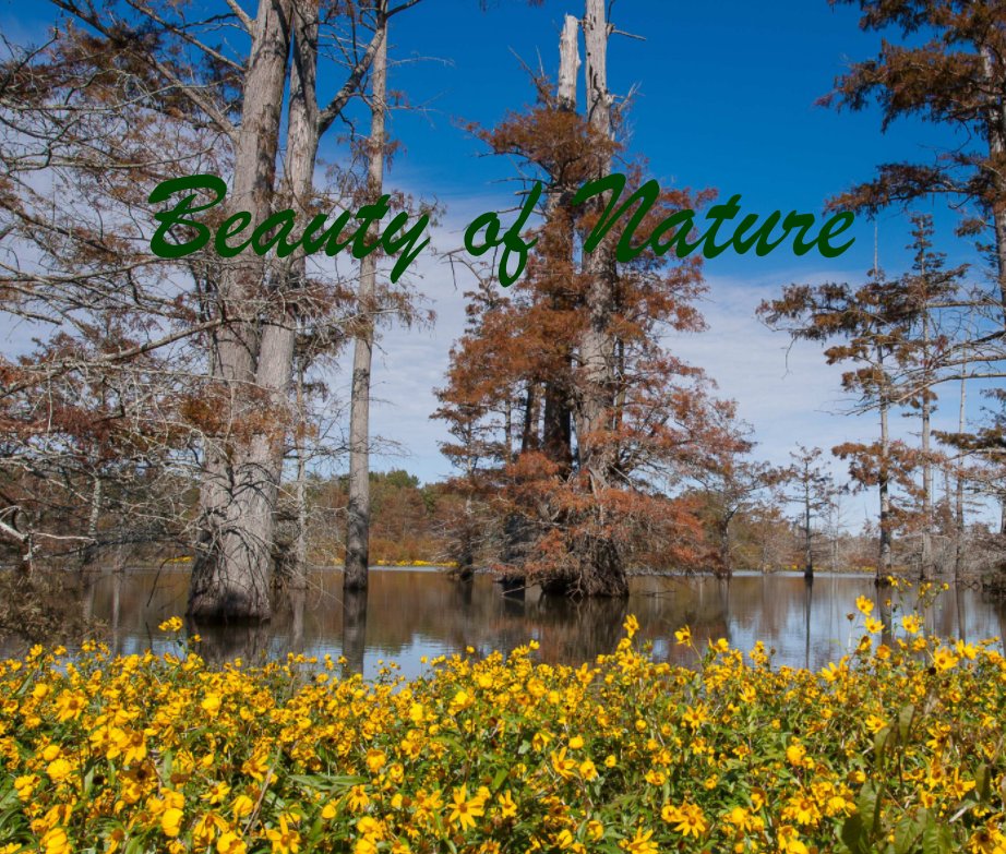 View Beauty of Nature by Tiffany McDaniel