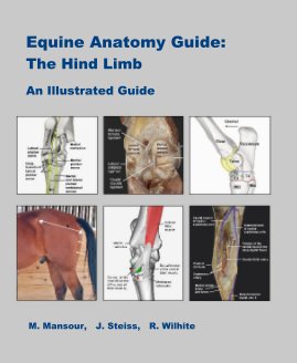 Equine Anatomy Guide: The Hind Limb book cover