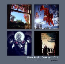 Face Book . October 2014 book cover