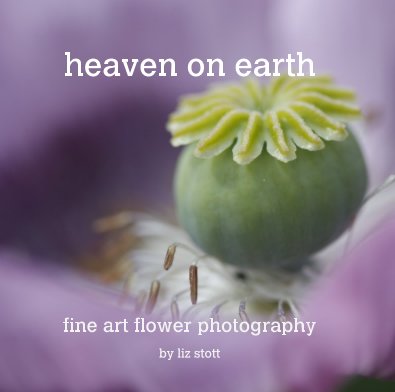 heaven on earth book cover