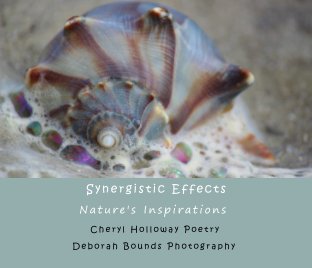 Synergistic Effects book cover