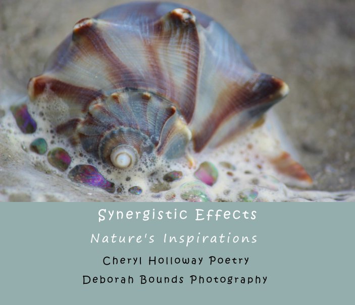 View Synergistic Effects by Cheryl Holloway, Deborah Bounds