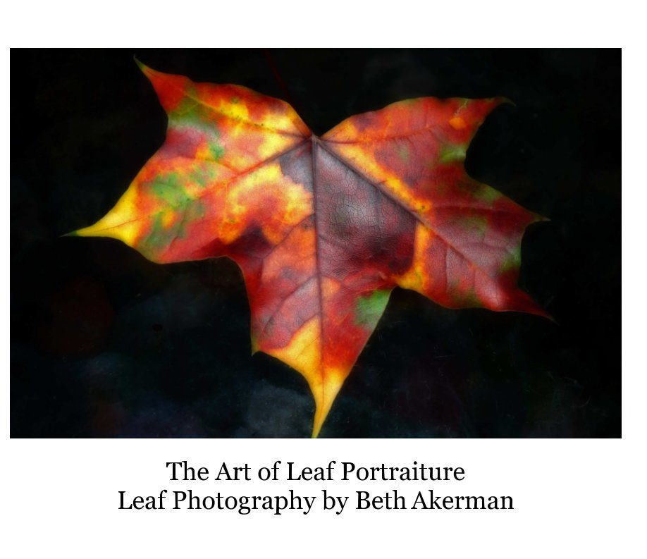 View The Art of Leaf Portraiture by Beth Akerman