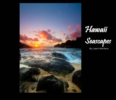 Hawaii Seascapes book cover