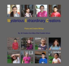 Mysterious Extraordinary Creations book cover