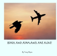 BIRDS AND AIRPLANES ARE ALIKE! book cover