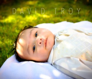 DAVID TROY book cover
