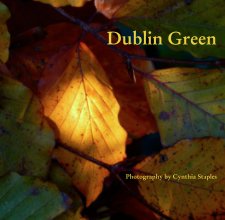 Dublin Green book cover