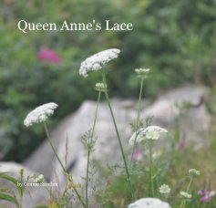 Queen Anne's Lace book cover