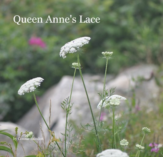 Ver Queen Anne's Lace por Connie Saindon