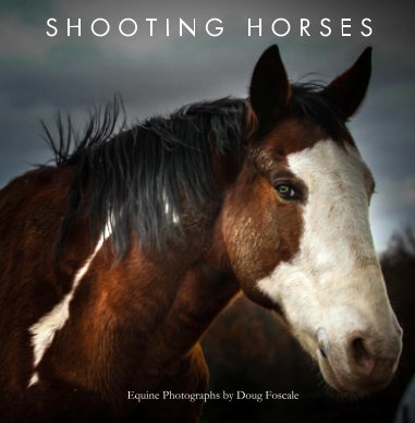 Shooting Horses book cover