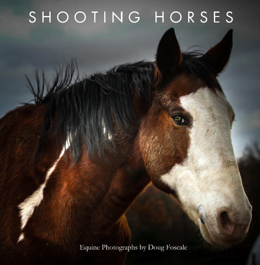 View Shooting Horses by Doug Foscale