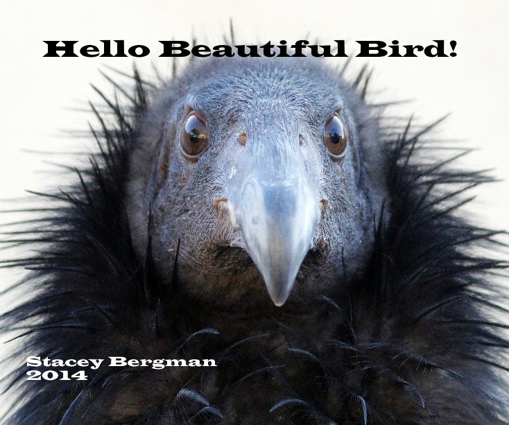 Ver Hello Beautiful Bird! Stacey Bergman 2014 por Stacey Bergman