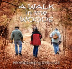 A Walk in the Woods book cover