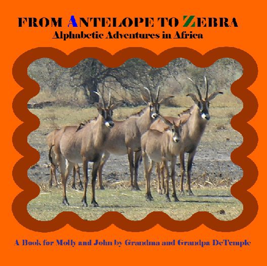 View From Antelope to Zebra by Duane & Janet DeTemple