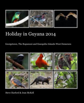 Holiday in Guyana 2014 book cover