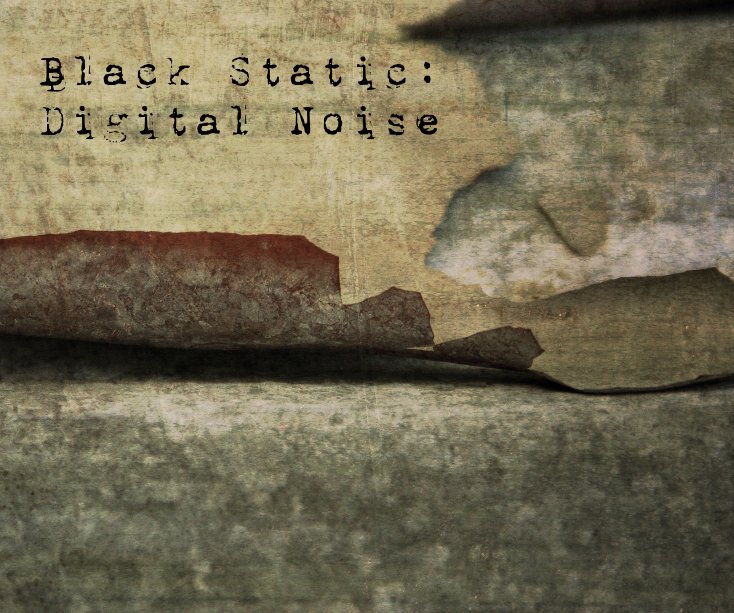 View Black Static: Digital Noise by Lee Wain