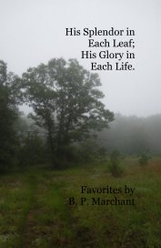 His Splendor in Each Leaf; His Glory in Each Life. book cover
