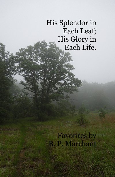 View His Splendor in Each Leaf; His Glory in Each Life. by B. P. Marchant