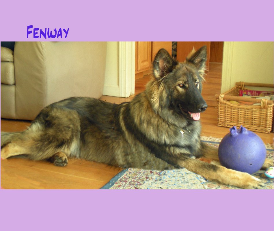 Voir %(titre) par %(nom_de_l'auteur)